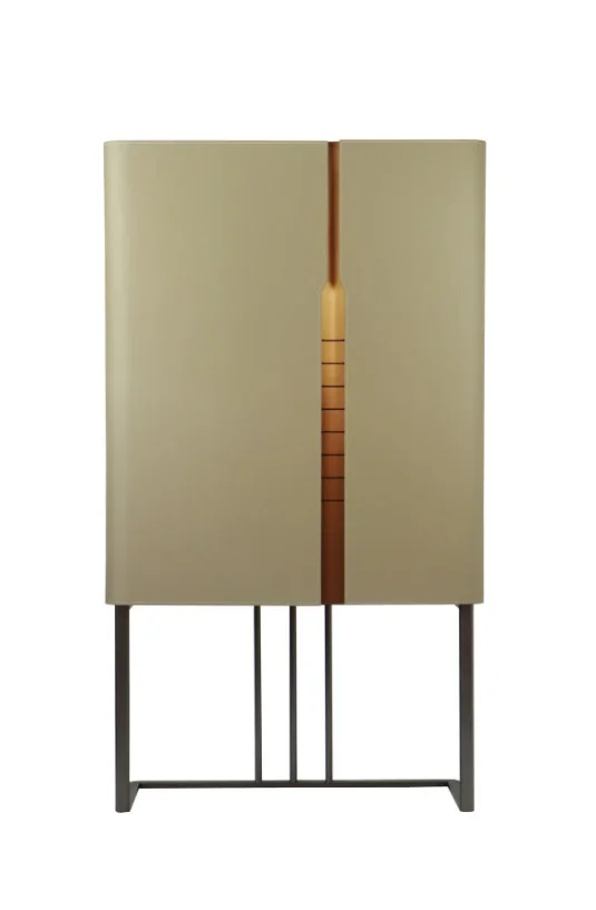 FURNITURE Shelving & Storage DR1101249 in E1 class board cabinet + microfiber saddle leather + solid gold stainless steel decorative strip — view 3
