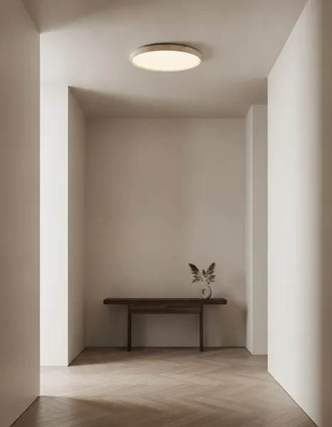 LIGHTING Ceiling Lights DR1601167.L alternate view
