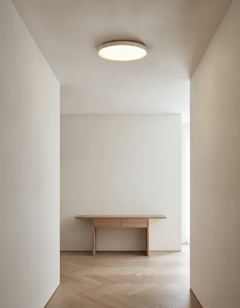 LIGHTING Ceiling Lights DR1601167.S alternate view