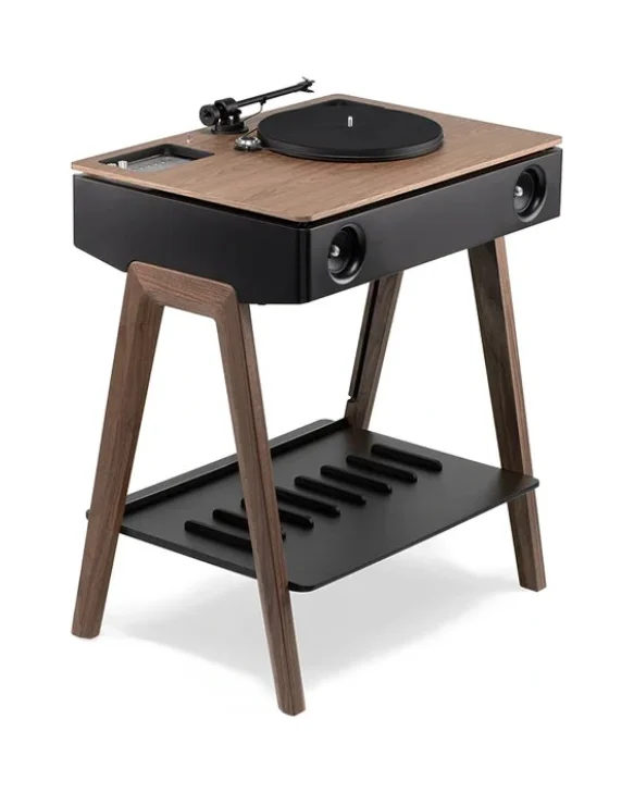 DECOR Floor Standing Speakers DR2103821