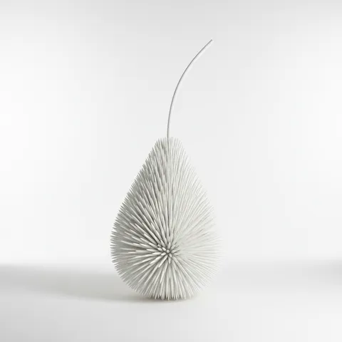 Porcospino