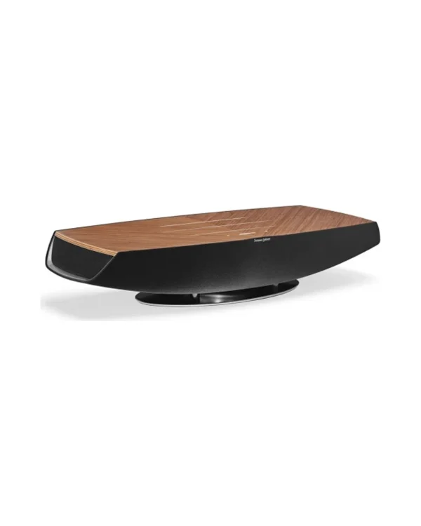 DECOR Floor Standing Speakers DR2103831