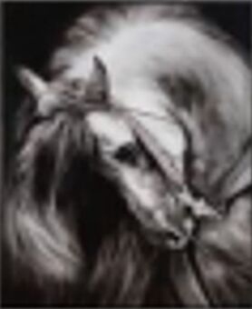 DESROCH ART SWAROVSKI CRYSTAL BEAUTIFUL HORSE WALL ART DR2102339