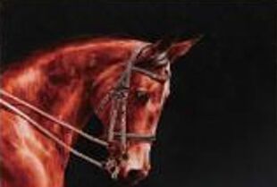 DESROCH ART SWAROSKI CRYSTAL  BEAUTIFUL HORSE WALL ART DR2102340