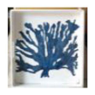 DESROCH DECOR BLUE CORAL DECORATIVE WALL ART DR2100086