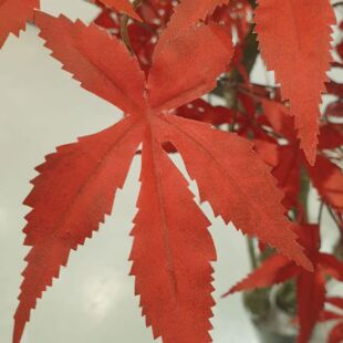 IMITATION RED MAPLE HAND-MADE LEAVES