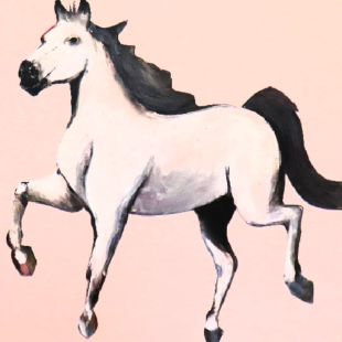 THE WHITE LADY HORSE ARTIST WALL ART