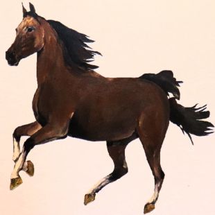 WILDFIRE ACRYLIC & MATTE FINISH HORSE WALL ART