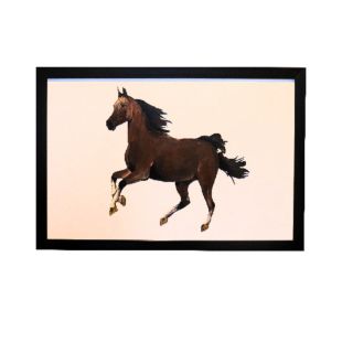 WILDFIRE ACRYLIC & MATTE FINISH HORSE WALL ART
