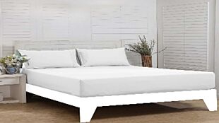 DESROCH COTTON STANDARD BED SHEET  ELEGANT COMFORT WHITE