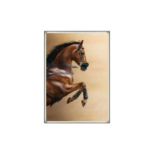 RED HORSE WALL FRAME